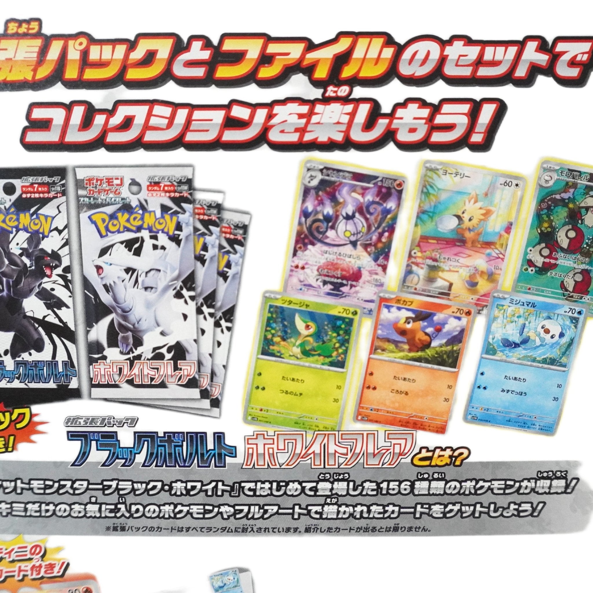 Pokémon – Black Bolt / White Flare – JP Card File Set mit Victini Promo – bei Habibicards kaufen