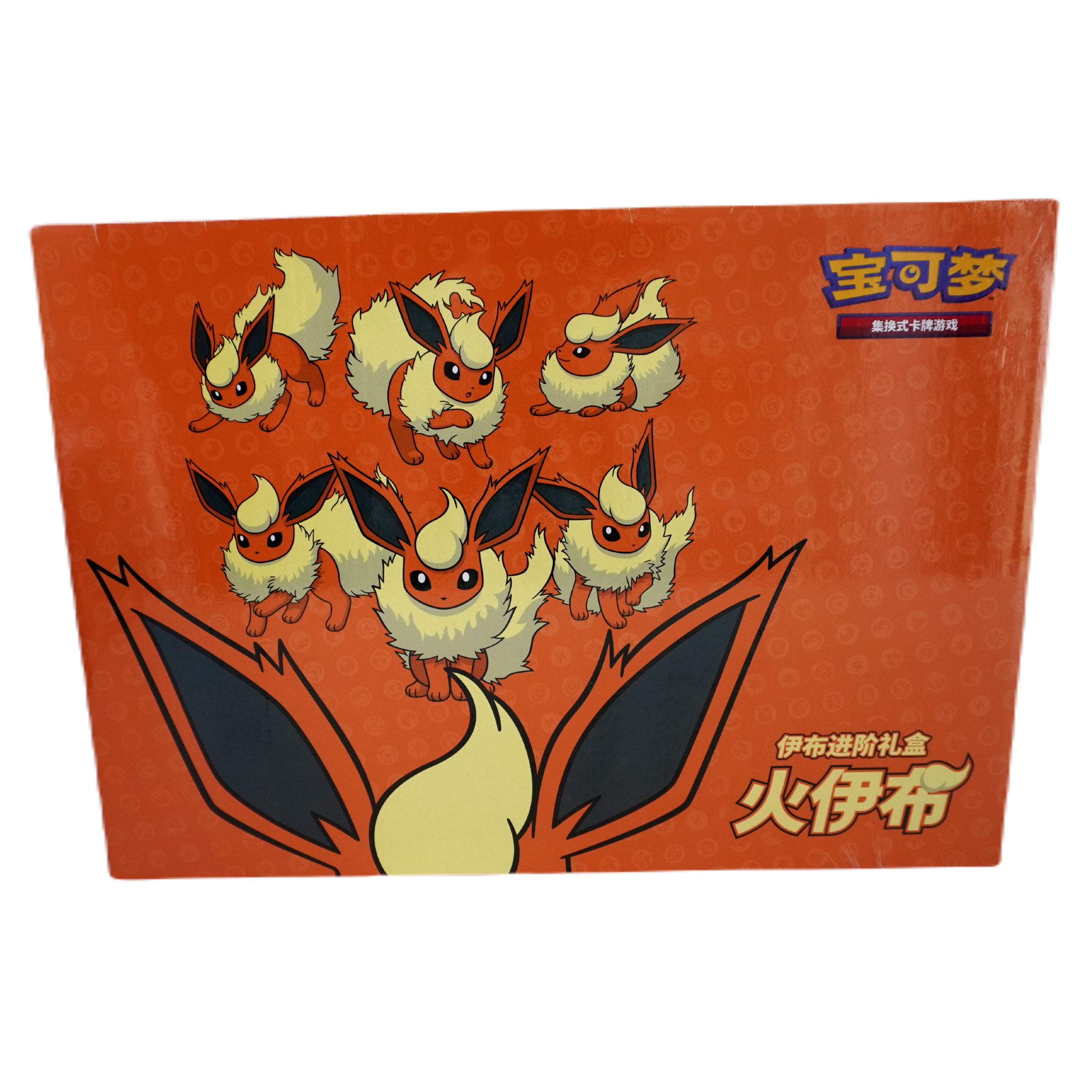 Pokemon Flamara Box Chinese