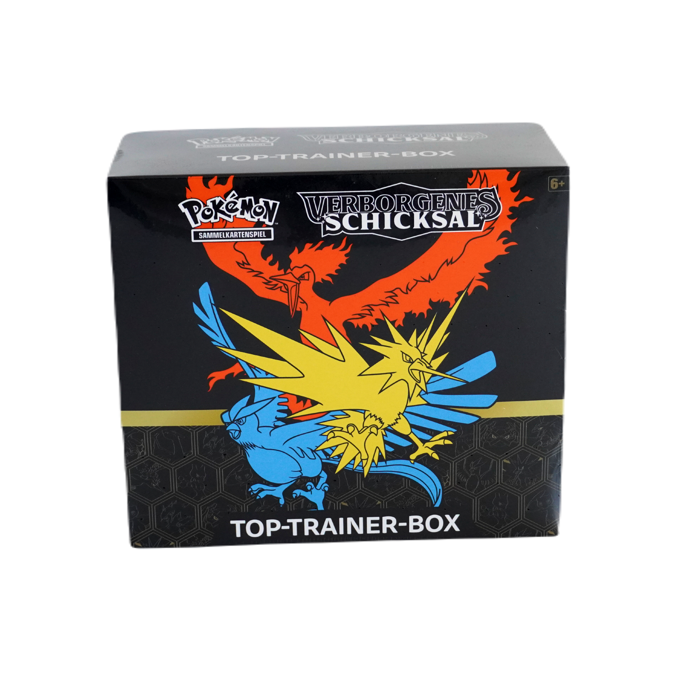 Pokemon Verborgenes Schicksal ETB DE