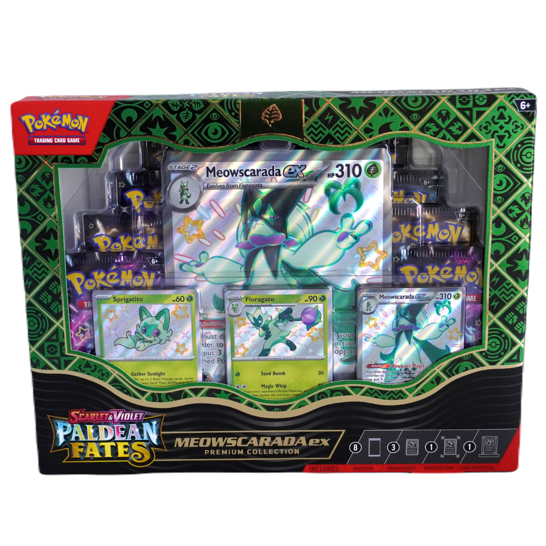 Pokemon Paldean Fates Collection zufälliges Artwork ENG