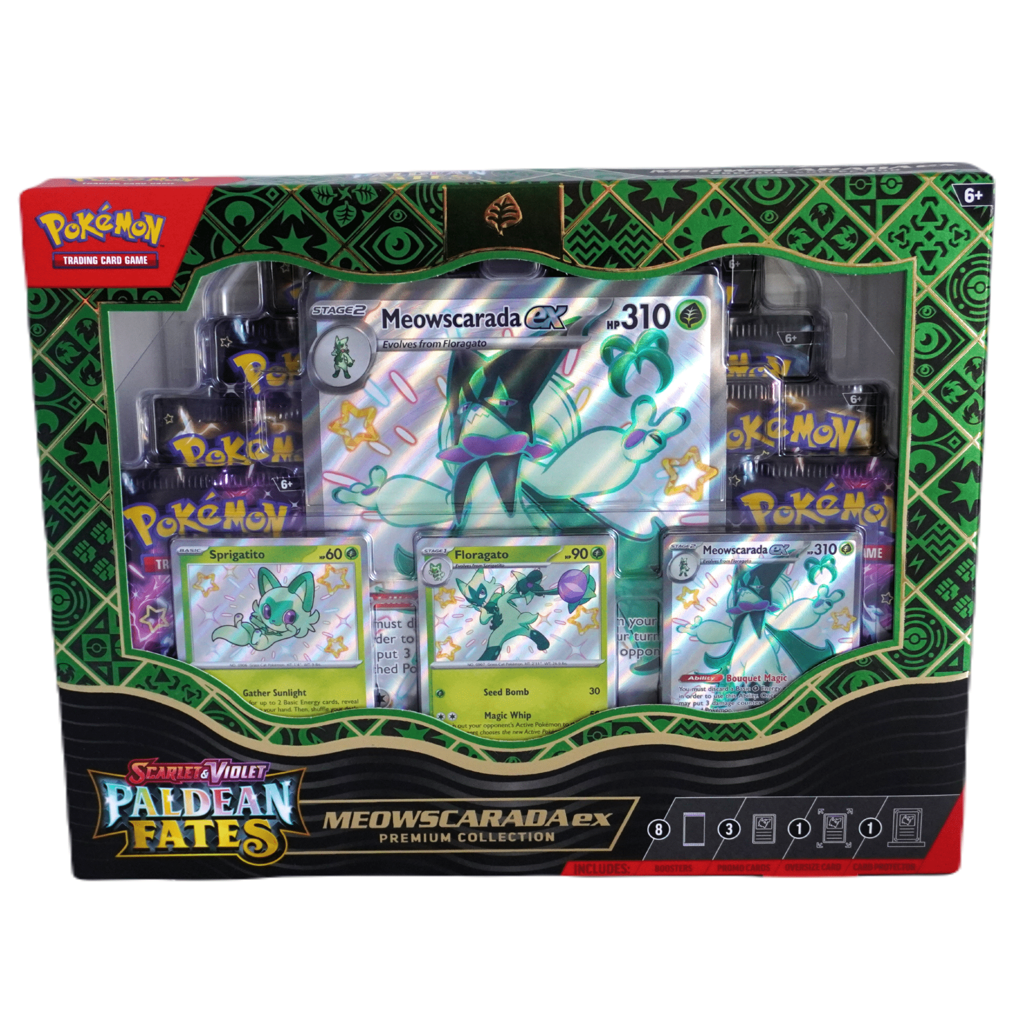 Pokémon Paldean Fates Collection (Zufälliges Artwork) – Mit Shiny Pokémon und exklusiven Promos – bei Habibicards kaufen